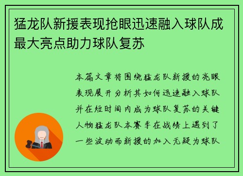 猛龙队新援表现抢眼迅速融入球队成最大亮点助力球队复苏