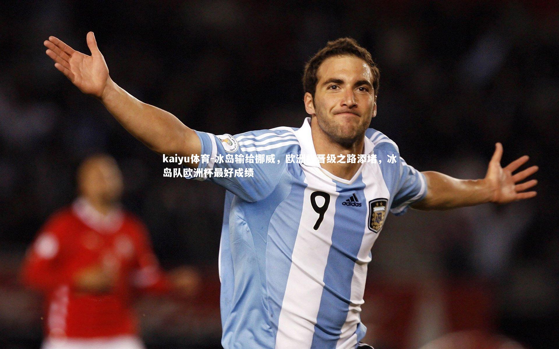 冰岛输给挪威,欧洲杯晋级之路添堵,冰岛队欧洲杯最好成绩