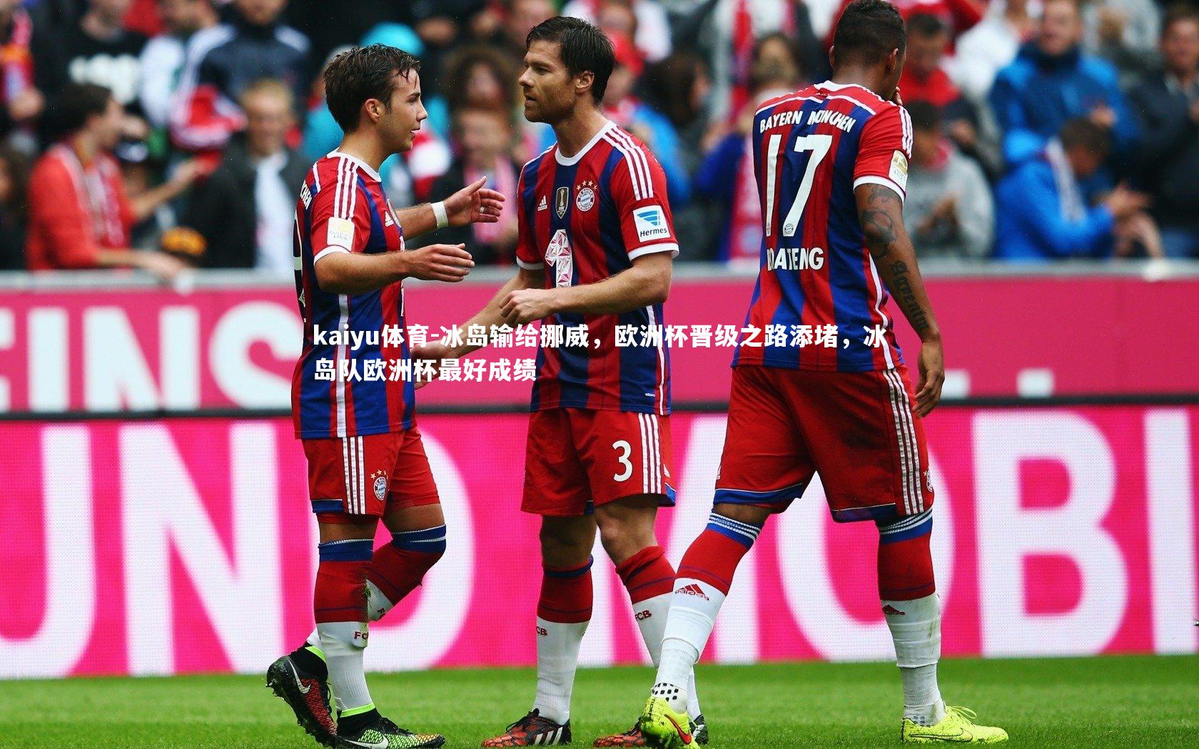 冰岛输给挪威,欧洲杯晋级之路添堵,冰岛队欧洲杯最好成绩