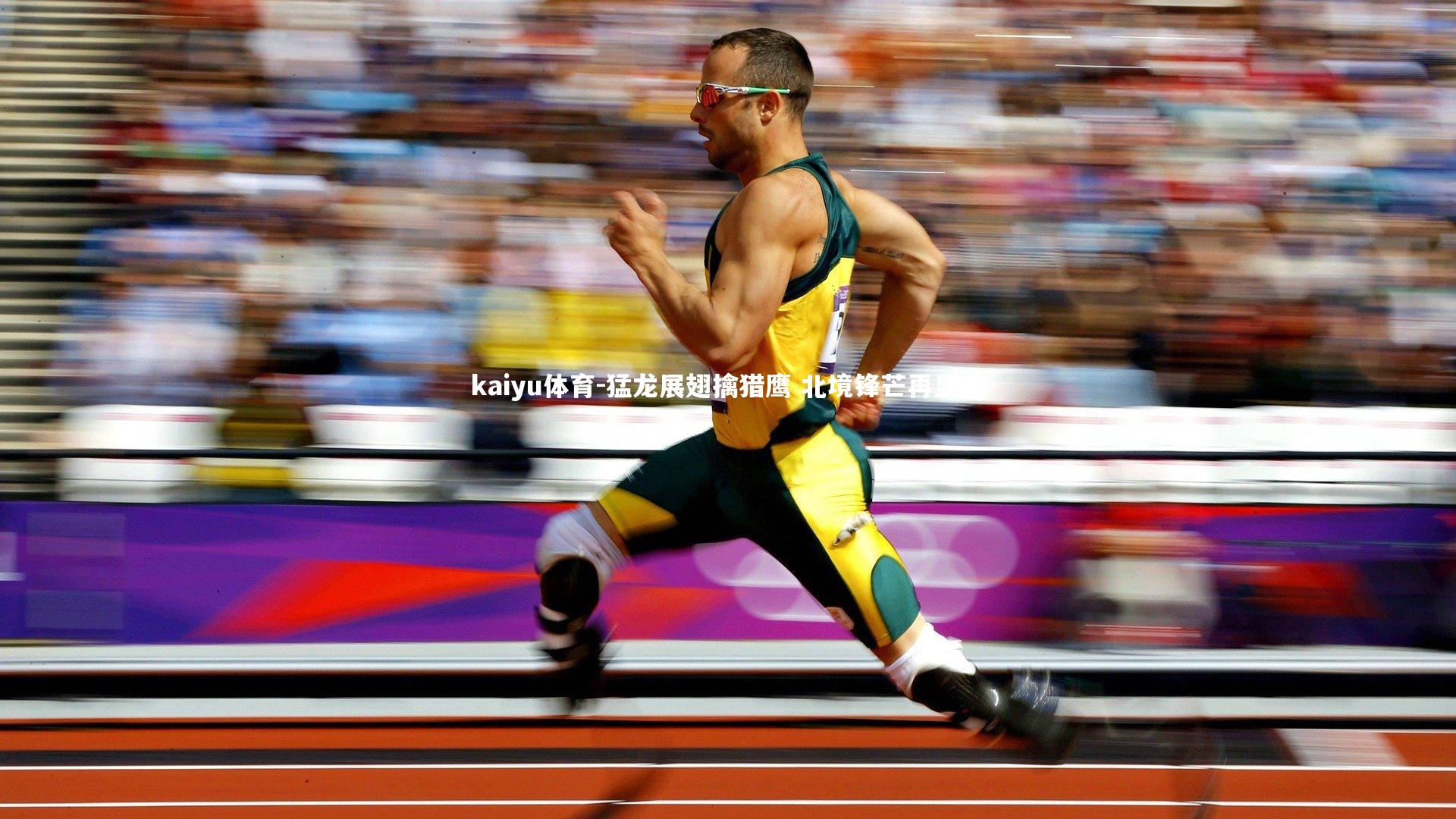 猛龙展翅擒猎鹰 北境锋芒再显威