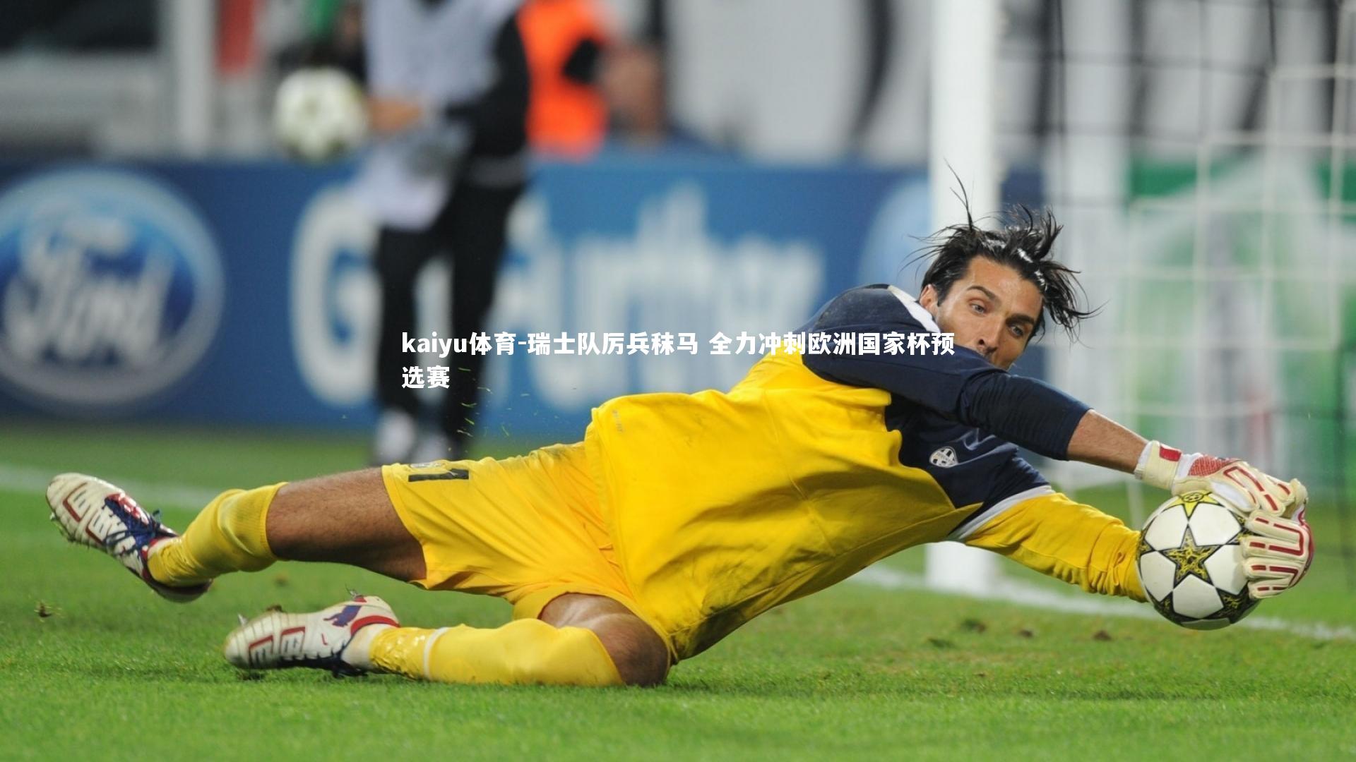 kaiyu体育-瑞士队厉兵秣马 全力冲刺欧洲国家杯预选赛