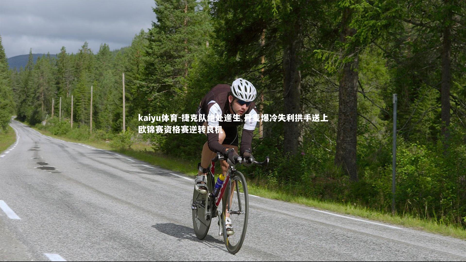 kaiyu体育-捷克队绝处逢生 丹麦爆冷失利拱手送上欧锦赛资格赛逆转良机