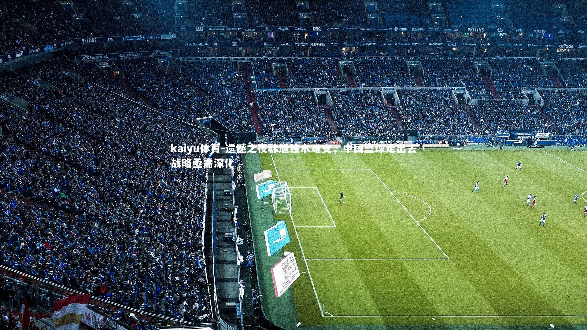 遗憾之夜韩旭独木难支,中国篮球走出去战略亟需深化